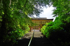 梅雨晴れの山寺