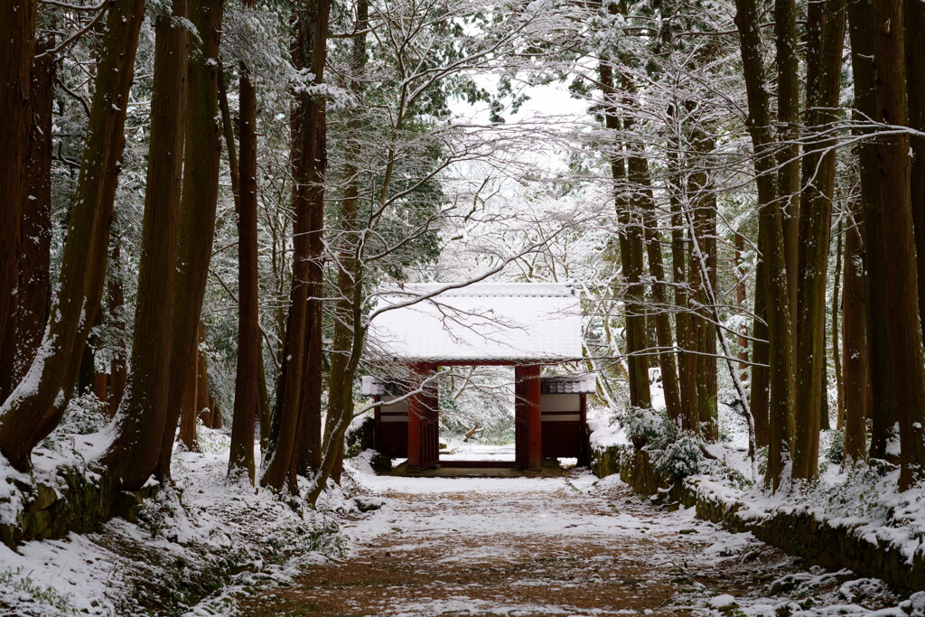 帰りの山門
