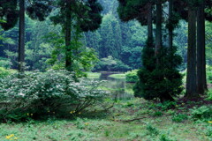 谷あいの水源地