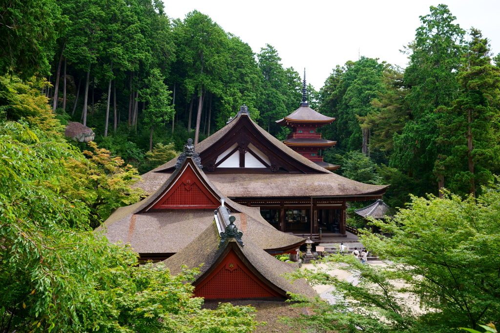 檜皮葺屋根の美
