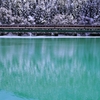 ダム湖の冬景色