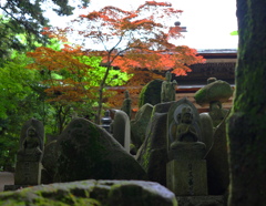 広島 極楽寺