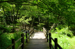 広島 極楽寺
