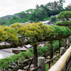 宮島に来たよ