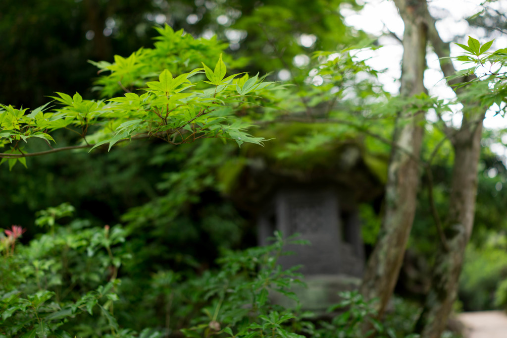 宮島散歩
