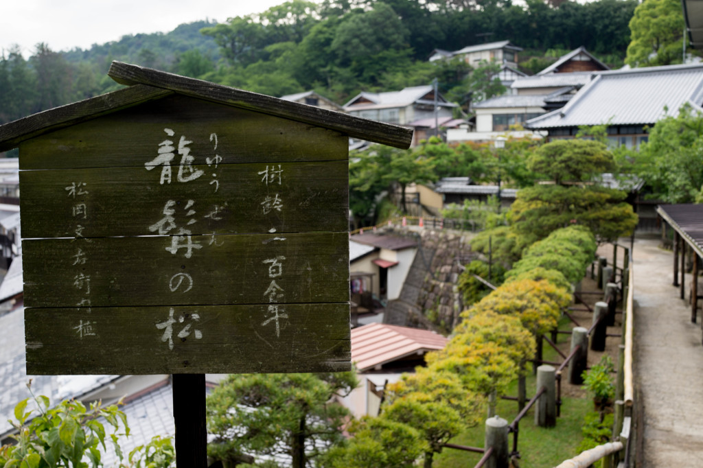 宮島に来たよ