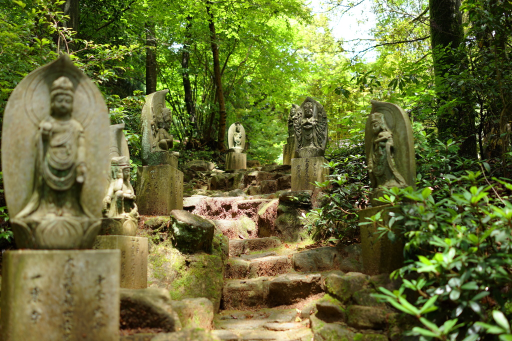 広島 極楽寺