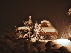 豪雪