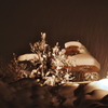 豪雪