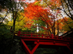 横蔵寺の紅葉