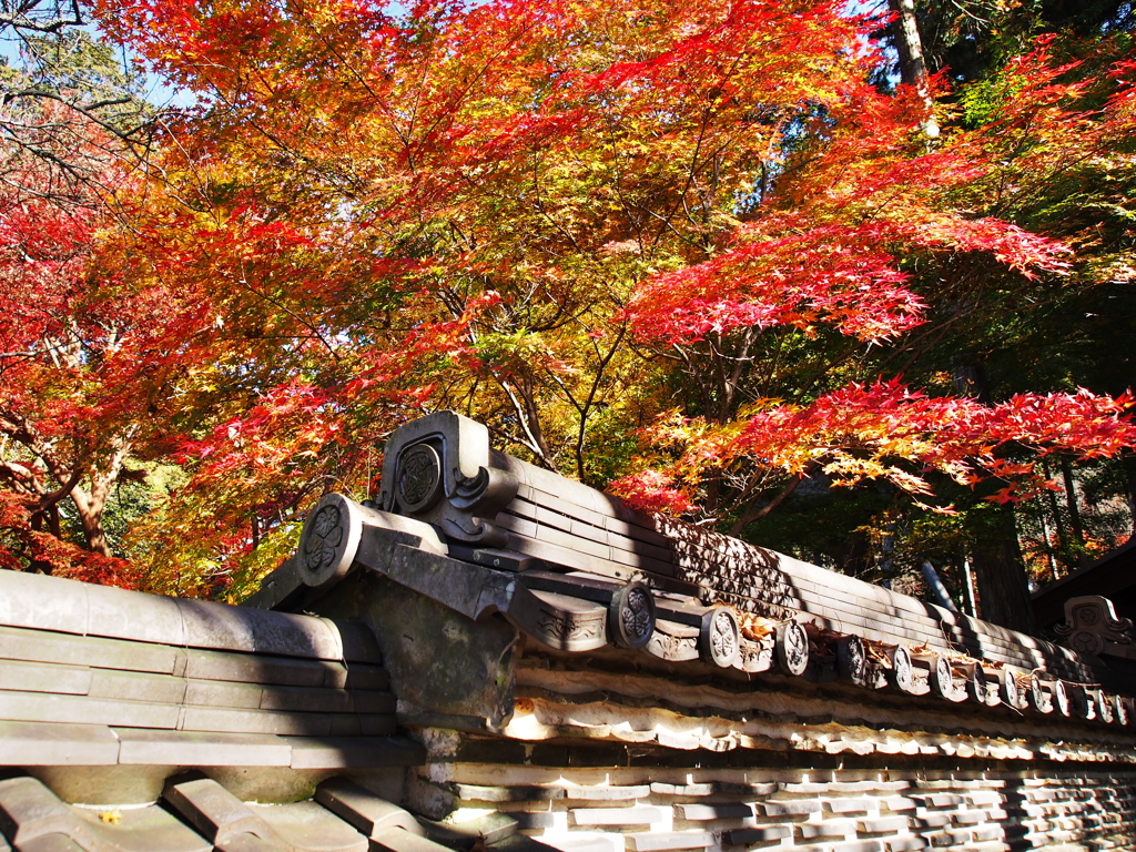 大智寺⑦