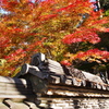大智寺⑦