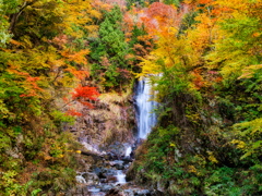 秋の天生中滝