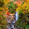 秋の天生中滝
