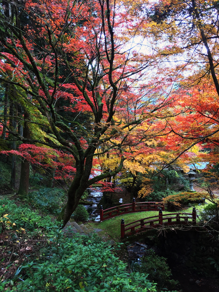 横蔵寺の紅葉 ｂｙ iphone