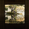 静寂の中で