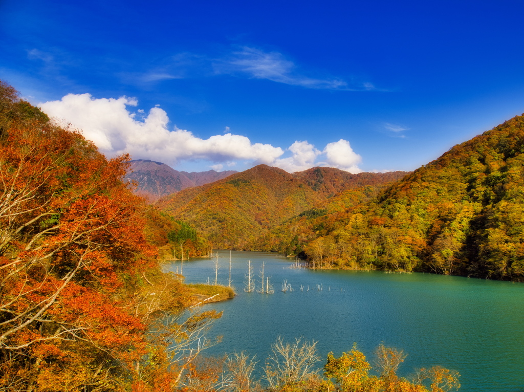 徳山湖の秋