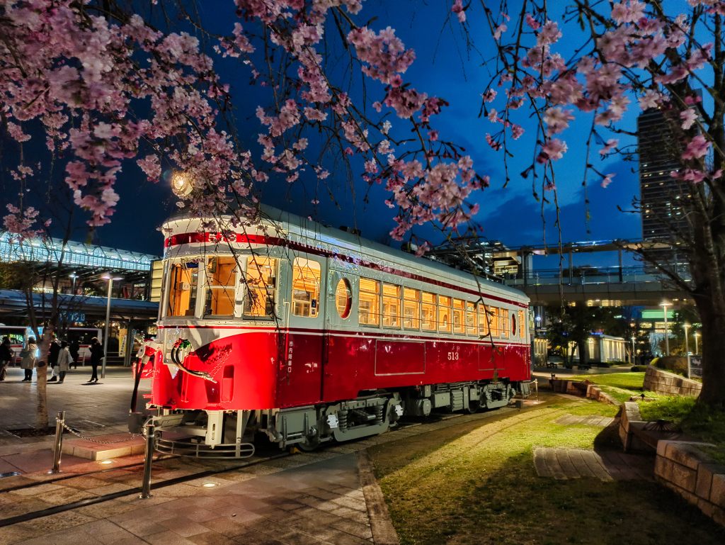 夜桜と丸窓電車