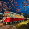 夜桜と丸窓電車