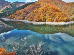 徳山湖の紅葉①