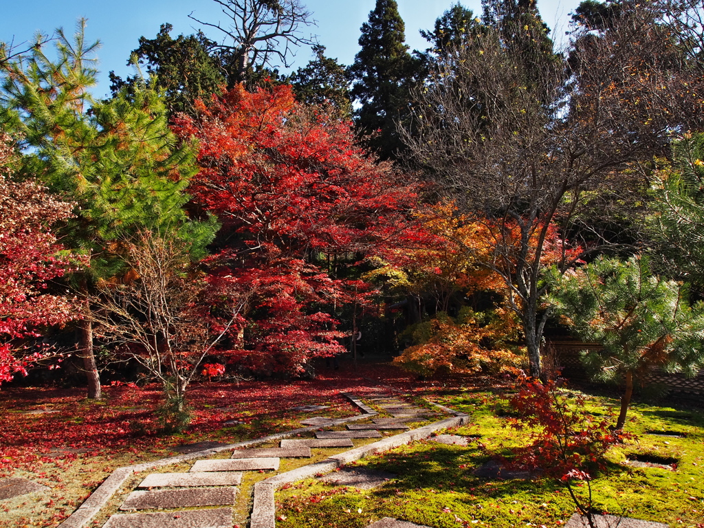 大智寺④