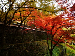 横蔵寺の紅葉