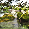 円原川冬景色 3