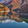 徳山湖の紅葉③