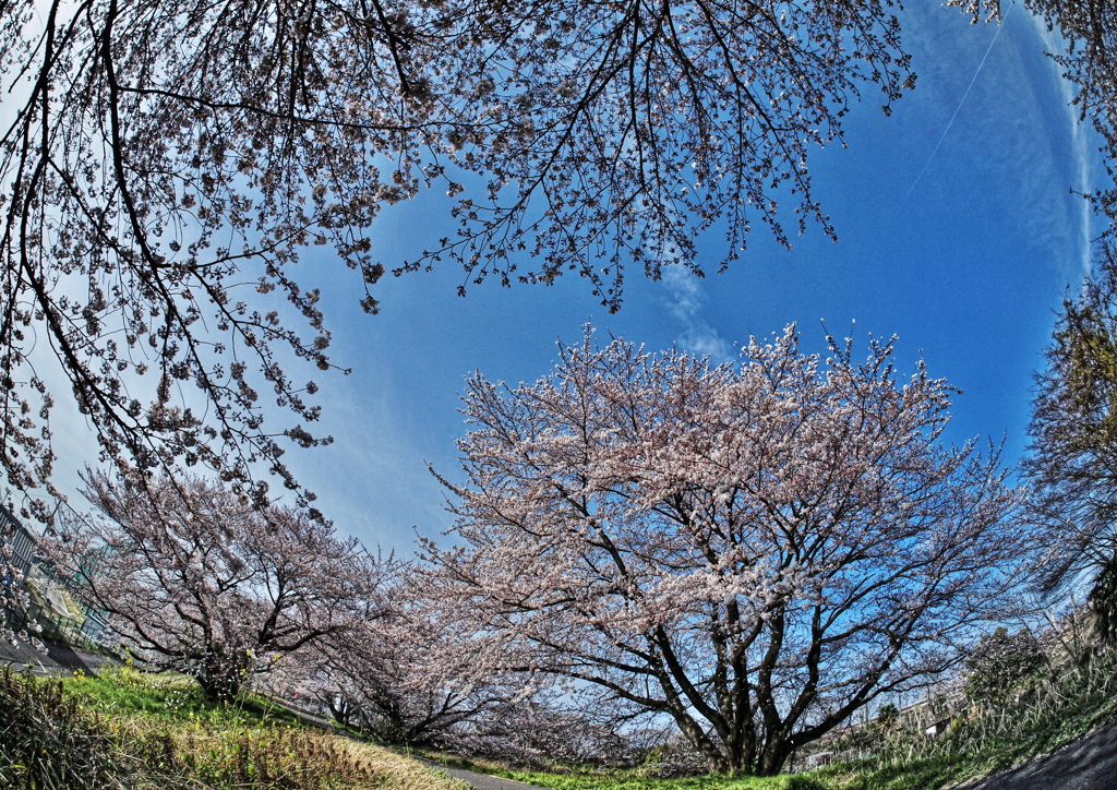 お天気サイコー気持ちが良い