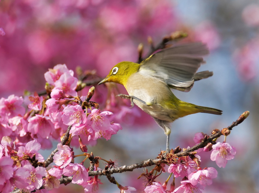 おっとっと