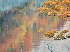 徳山湖の紅葉⑤