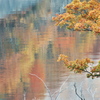 徳山湖の紅葉⑤