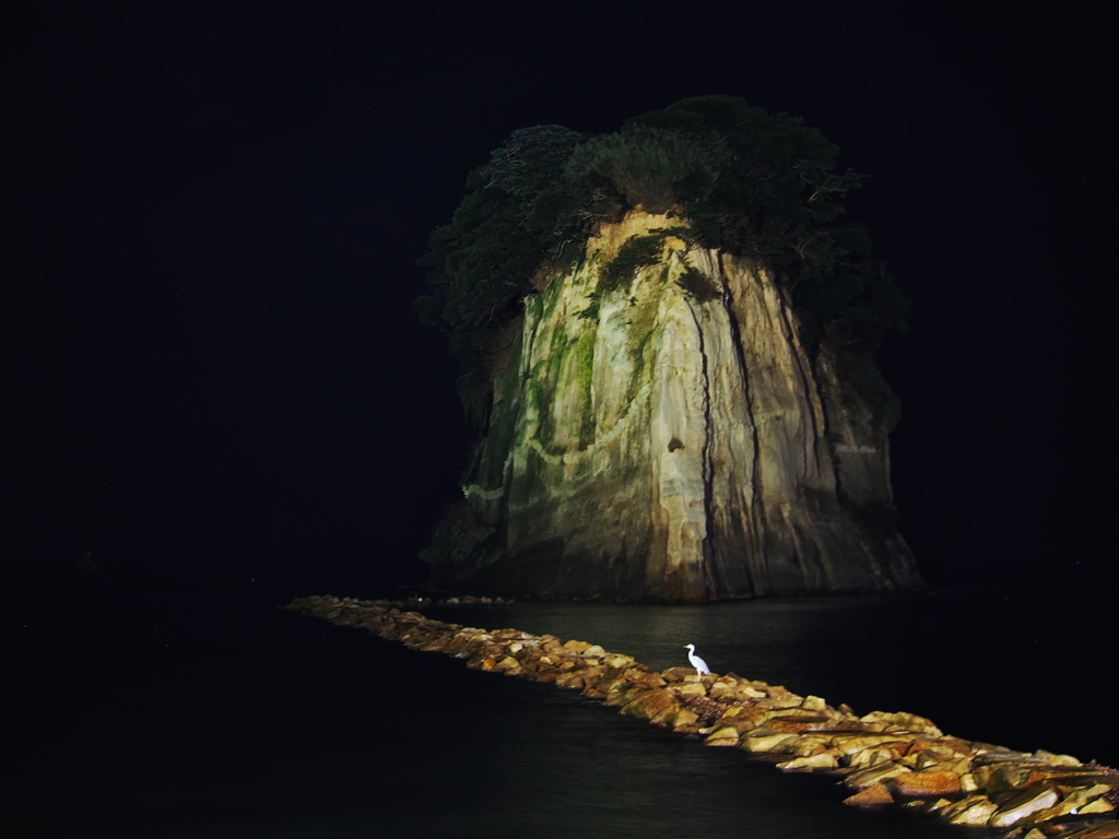 さみしくないよ②
