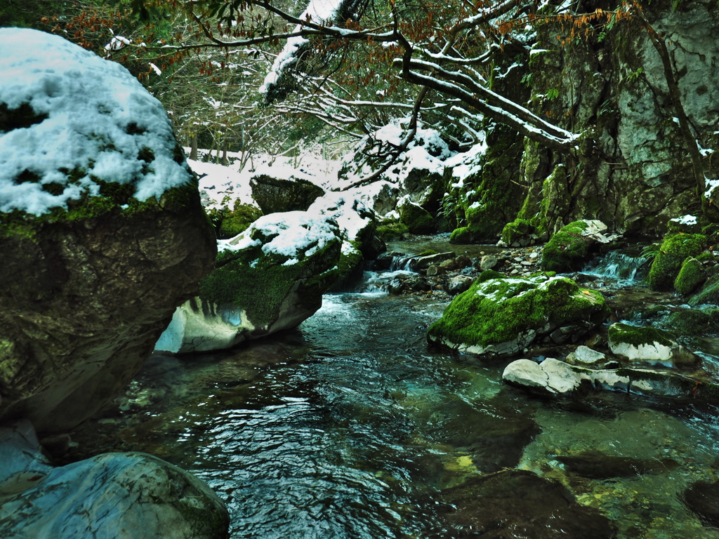 円原川冬景色 2