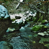 円原川冬景色 2