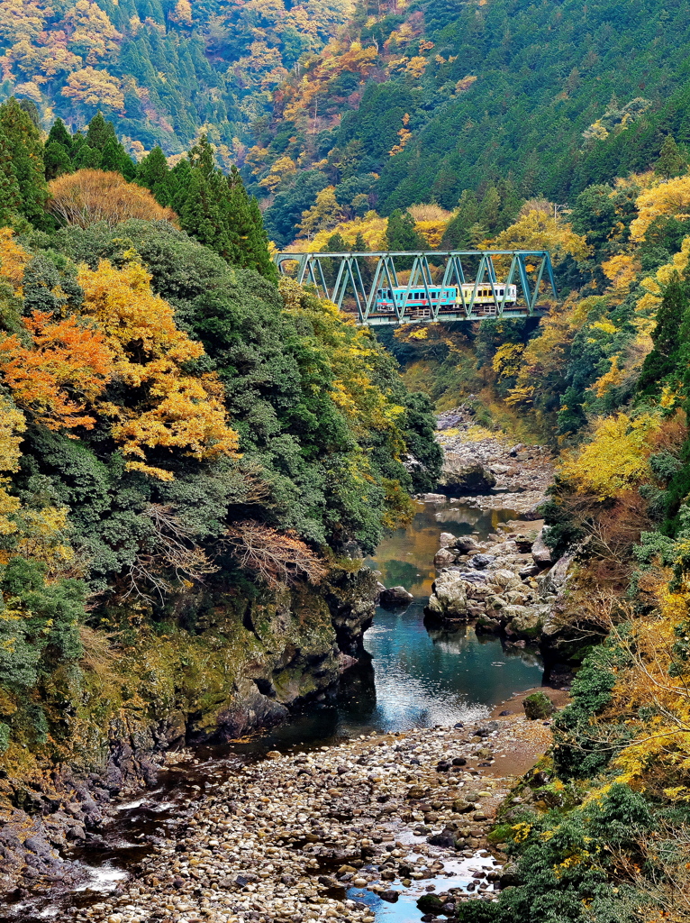 秋の樽見鉄道