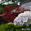 弓削寺にて1
