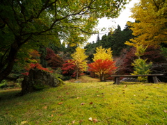 岐阜県民いこいの森 の紅葉