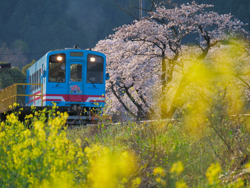 春色ローカル列車