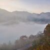 朝霧の中で