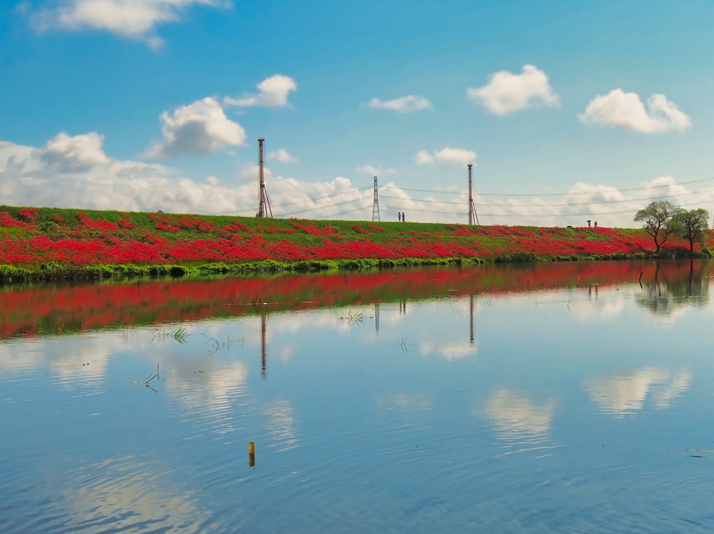 空と雲と曼殊沙華