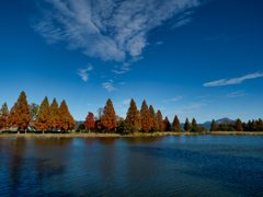 晩秋の風景