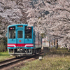 桜列車