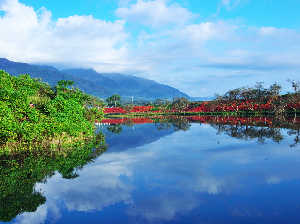 曼殊沙華の咲く風景