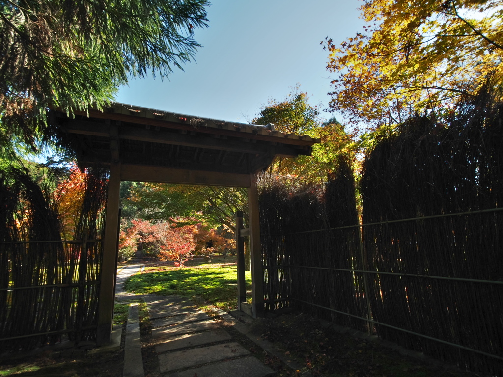 大智寺③