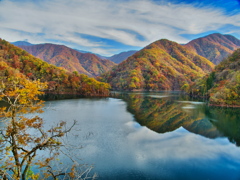 徳山湖の彩り