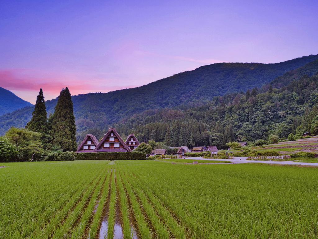 夕暮どき