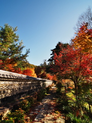 大智寺⑤