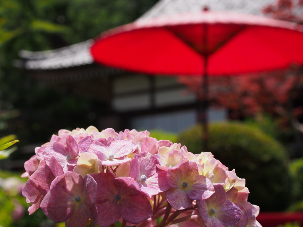 弓削寺にて2