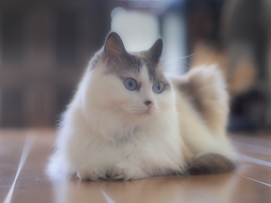 まったり